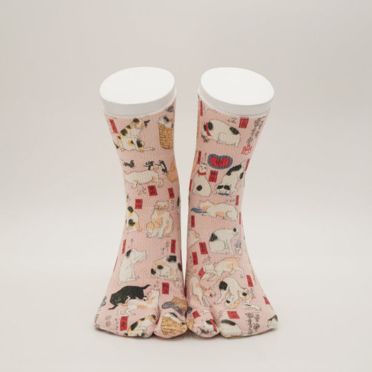 Wasi Wasi Fifty-Three Cats Washi Tabi Socks